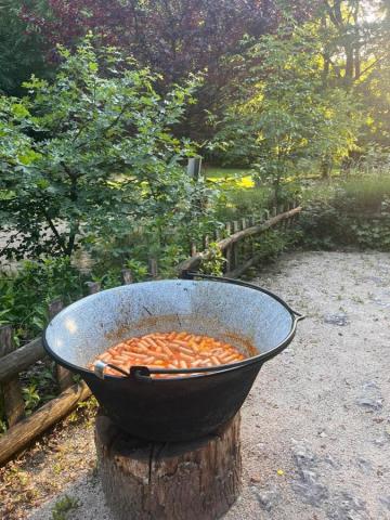 tábortűzön főtt vacsora
